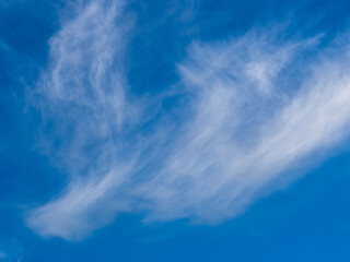 深まる秋の澄んだ青空30