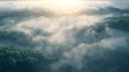 Obraz premium Misty Mountain Forest Sunrise Landscape