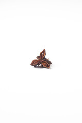 Detail of an aniseed isolated on a white background © APG Photo