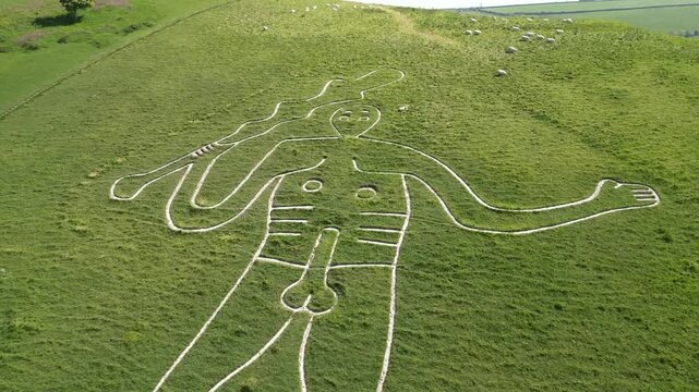 Aerial view of cerne abbas valley featuring a chalk figure on a hill with sheep grazing in a tranquil and beautiful countryside, Somerset, United Kingdom.