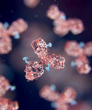 Antibody drug conjugate, illustration