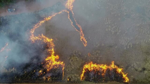 Drone shot of planned fire, controlled prescribed fire to prevent unwanted fires
