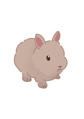 Cute brown bunny © Aleksandra