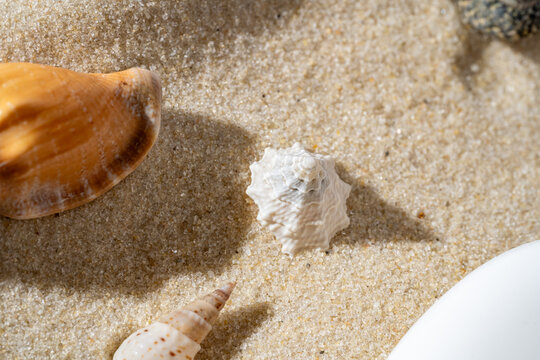 Seashells and Sand as a Natural Sun Protective Cream Theme