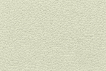 Fototapeta premium Snow White Leather Texture - Seamless Background