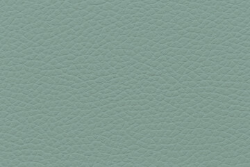 Aquamarine leather surface with intricate pattern