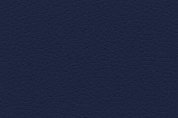 Azure leather surface with intricate pattern