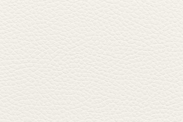 Fototapeta premium Close-up of white textured leather surface, smooth pattern