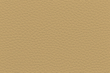  Close-up of textured Sahara leather background for design use

