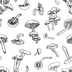 seamless vector pattern with hand drawn mushrooms