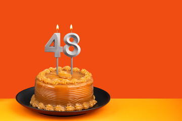 Birthday candle number 48 - Cake with dulce de leche frosting.