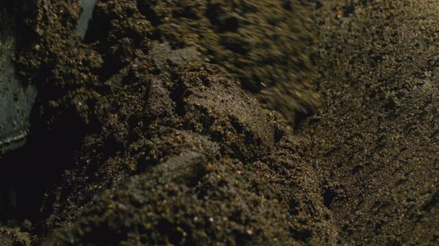 Machine crushing and kneading olive paste to produce olive oil on close-up shot.