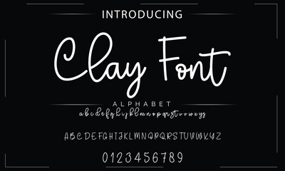 Obraz premium Signature Font Calligraphy Logotype Script Font Type Font lettering handwritten