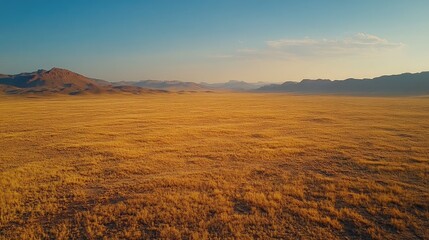 Expansive Desert Landscape Highlighting Dryness and Vulnerability of Natural Ecosystems Under Clear Blue Sky and Distant Mountains