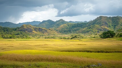 Obraz premium Scenic landscape of flat grasslands and sparse trees with rocky hills and vibrant rice fields under an overcast sky showcasing natural beauty.