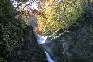 紅葉に染まる滝