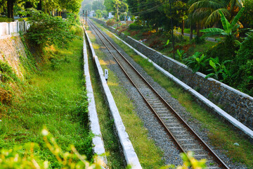 Obraz premium Straight train rail on a tunnel with grass and tree