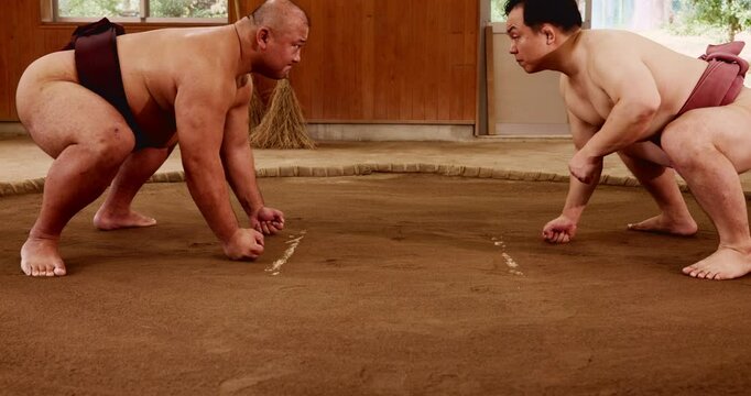 Fighting, sumo or men in wrestling practice in training exercise, workout or challenge. Asian tradition, skill or Japanese people in dohyo together for fitness or physical combat technique in Japan