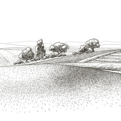 Green grass field on small hills. Meadow, alkali, lye, grassland, pommel, lea, pasturage, farm. Rural scenery landscape panorama of countryside pastures. Vector sketch illustration