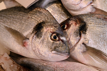 Dorades en gros plan sur l'étal d'une poissonnerie