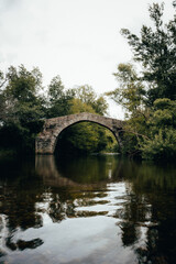 Fototapeta premium bridge over the river