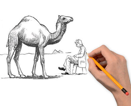 drawing animals and human fully