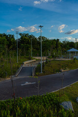 Fototapeta premium Walk and run pathway pavement asphalt road in city green tree pak