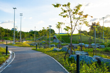 Naklejka premium Walk and run pathway pavement asphalt road in city green tree pak