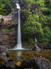 waterfall in the forest