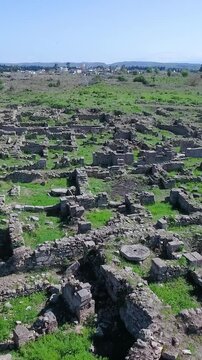 Aerial wide view of Ugarit archaeological site in Syria archeology footage, vertical video.