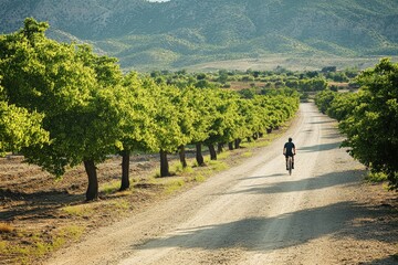 Obraz premium Smooth Dirt Road Cycling Adventure in El Chorro, Spain among Almond Trees Plantation