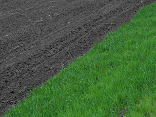 A field of grass forming a geometric shape with the bare soil.