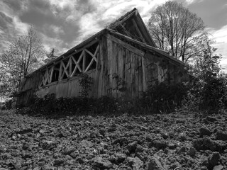 Abandoned wooden barn. BW filter applied