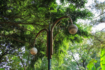 A weathered lamp post with ornate details stands beneath a dense canopy of green leaves. Sunlight...