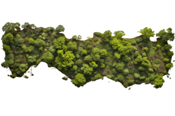 Overhead shot of a sprawling woodland area with rich green tree canopies, creating a natural mosaic pattern, isolated on white background