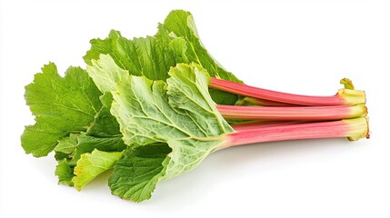 rhubarb isolated on white background