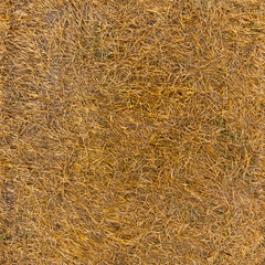 straw on the ground - seamless texture and background