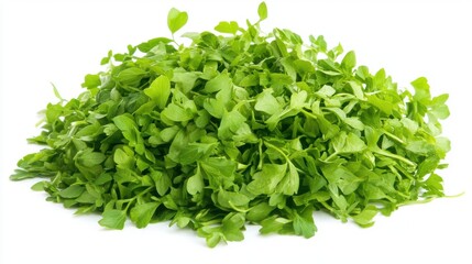 Obraz premium Fresh Herbs for Cooking and Healing Purposes