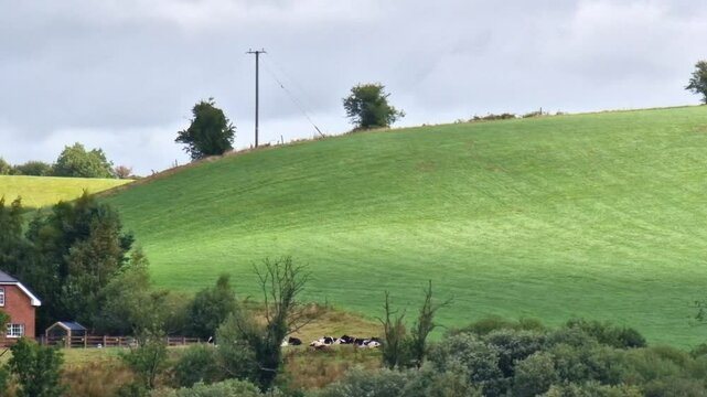 Beautiful countryside in Ballybay, Monaghan in the Republic of Ireland
