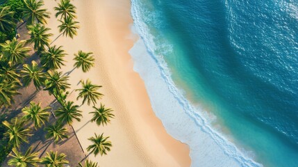 Obraz premium Aerial View of Serene Tropical Beach with Lush Palm Trees Borders and Gentle Waves Lapping at Soft Sandy Shoreline Under Clear Blue Sky