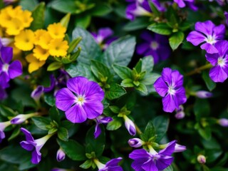 Fototapeta premium Vibrant purple flower petals and delicate green leaves creating a stunning contrast in nature, beauty, purple, vivid