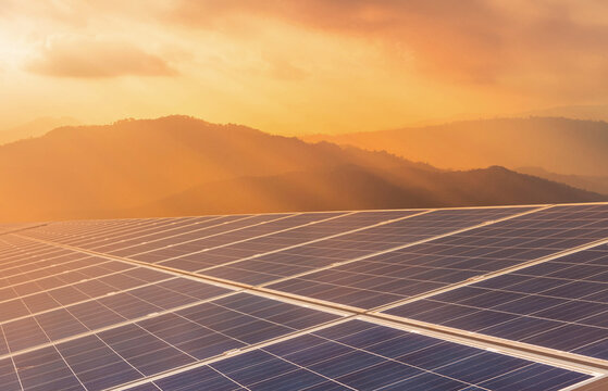 Close up rows array of polycrystalline silicon solar panels or photovoltaics cell in solar plant station on sunset with mountains background, alternative renewable clean energy efficiency