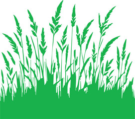 Fototapeta premium Grass vector illustrations in flat style. Grass illustration isolated on white background