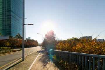 Autumnal Urban street view on Sunday morning, with sunlight, in Seoul, Korea
