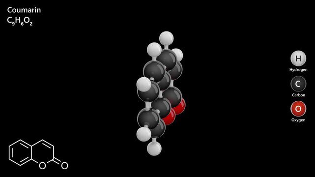 Coumarin. Animated 3D model of a molecule. Molecular formula: C9H6O2. Chemical model: Ball and sticks. Black background. 3D rendering. Seamless loop.