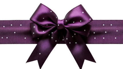 purple bow isolated on white background