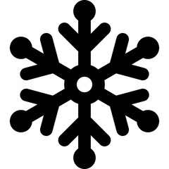 Obraz premium snowflake