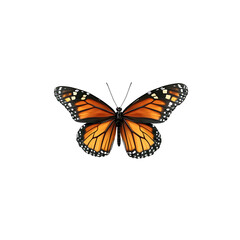 Obraz premium butterfly isolated on white