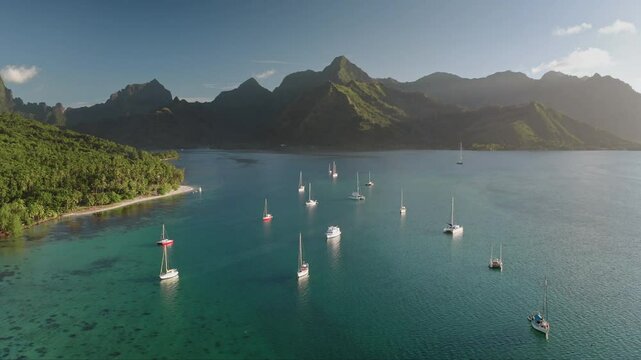 Aerial view of sailboats anchor in stunning turquoise waters of Opunohu bay lagoon, green mountains and sand beach in background, sunrise in Moorea, French Polynesia. Wild nature travel exploration