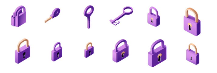 Security Lock Icon Set